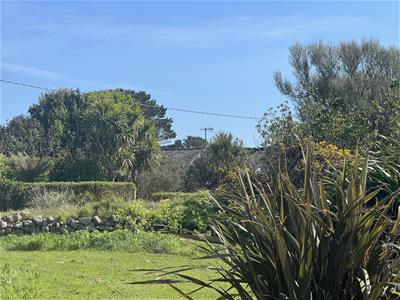 Picture 41